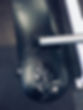 Weight Machine Uphostery .jpeg