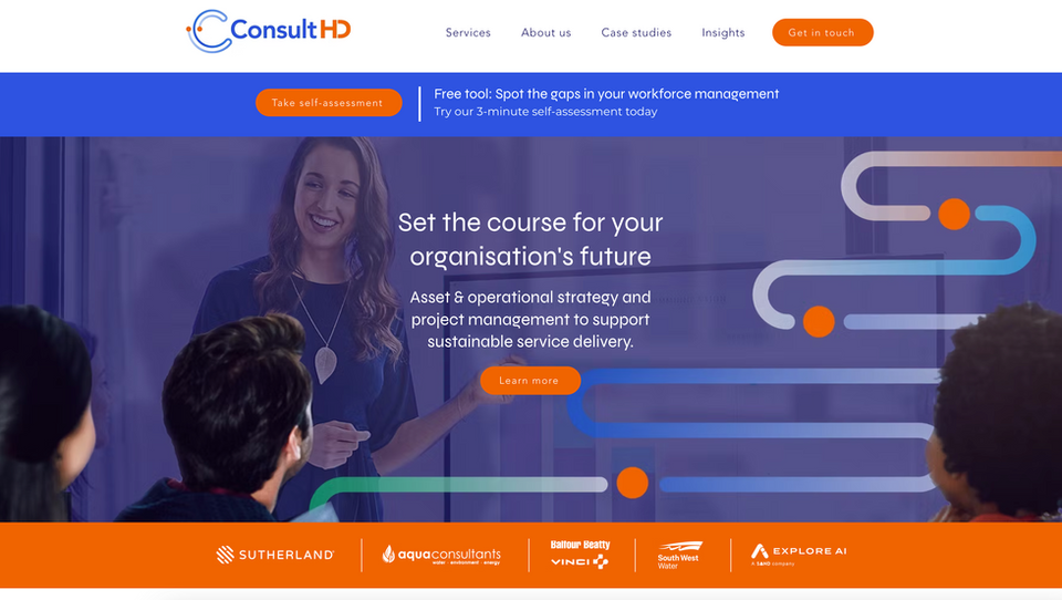 ConsultHD website