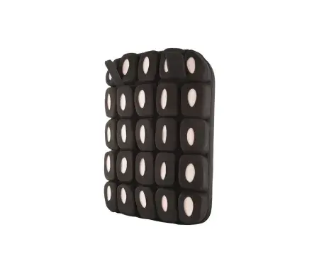 Spex Classic Back Support