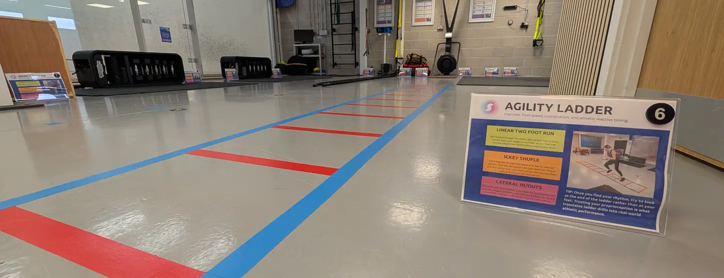 Agility Ladder