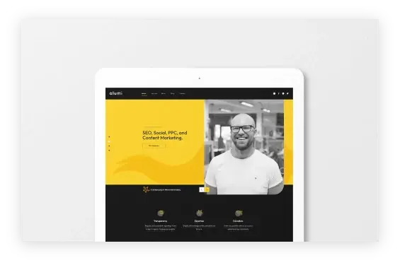 Alumi website header