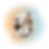 Orange _ Light Blue