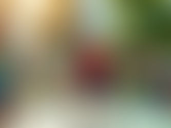 Building Business Relationships Through Pickleball: A New Networking Strategy