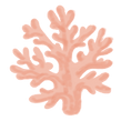 Brand Asset - Drawing of Coral 