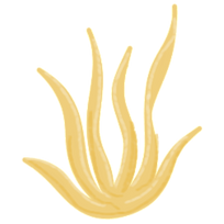 Brand Asset - Drawing of Coral 