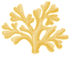 Brand Asset - Drawing of Coral