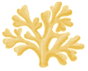 Brand Asset - Drawing of Coral 