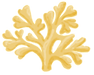 Brand Asset - Drawing of Coral 