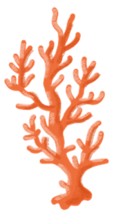 Brand Asset - Drawing of Coral 