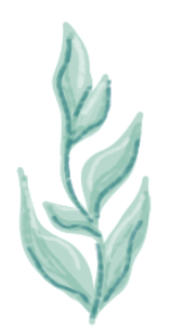 Brand Asset - Drawing of Coral 