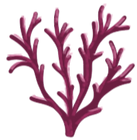 Brand Asset - Drawing of Coral 