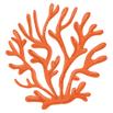 Brand Asset - Drawing of Coral 