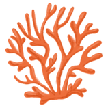 Brand Asset - Drawing of Coral