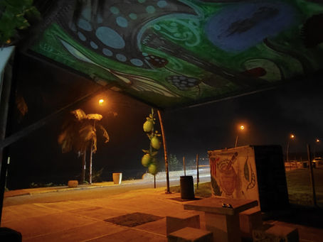 Back at it!
🌊 Back to the Beach, Back to My Kitchen