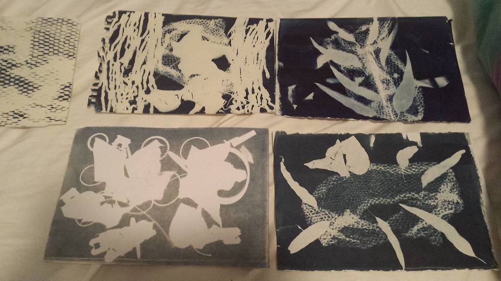 project cyanotypes display 2.jpg