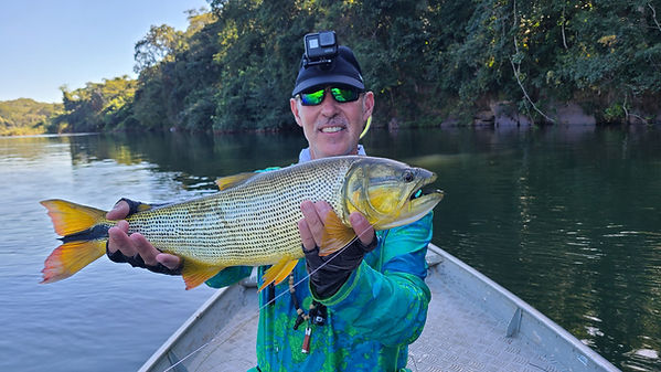 Golden Dorado 2023