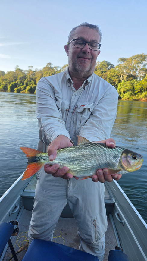 Fly Fishing for Piraputanga