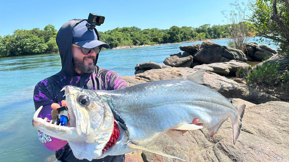 Payara