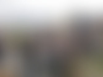 BBQ-Saison eröffnet