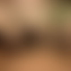 Lehrlings-Challenge 2025: Kreativität trifft Handwerk