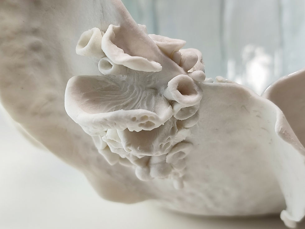 Miniature : Grand Jardin de Corail #2