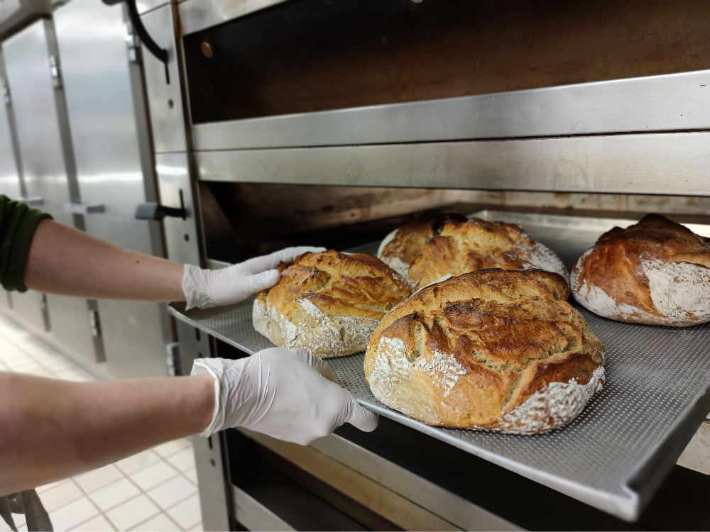 Arranged Food and Objects