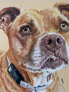 Helen L Thomas - Artist Pet Portait