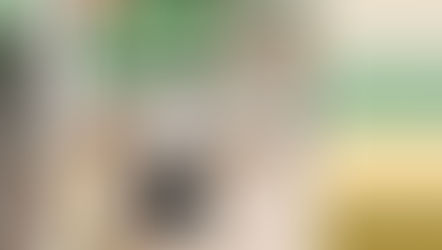 Modern kitchen with a refreshing palette of soft greens, warm yellows, and neutral tones