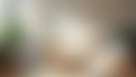 A cozy family living room styled with new cushions and green plants