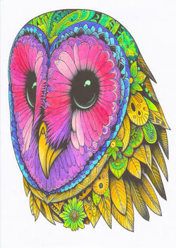 Dia De Los Animales Owl