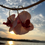 Miniatura: Mediteranea - Pink - Gold Drop Hoop Orchid Earrings