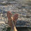 Thumbnail: Leather sandals  "IASON"
