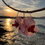 Miniatura: Mediteranea - Pink - Gold Drop Hoop Orchid Earrings