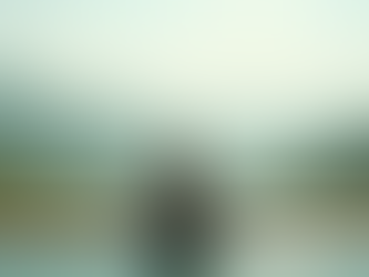 Discover Transformative Yoga Retreats and Wellness in NSW