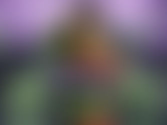 The Ice King Jack Ledger set to return at DPW 9: Glass House