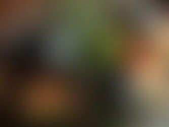 Holiday Rituals for Manifesting Abundance: Witchcraft Practices for the Festive Season