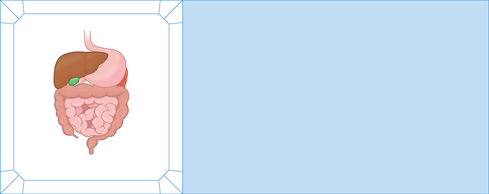 recursos web coayla-54.png