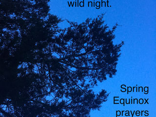Spring Equinox on the New Life Land