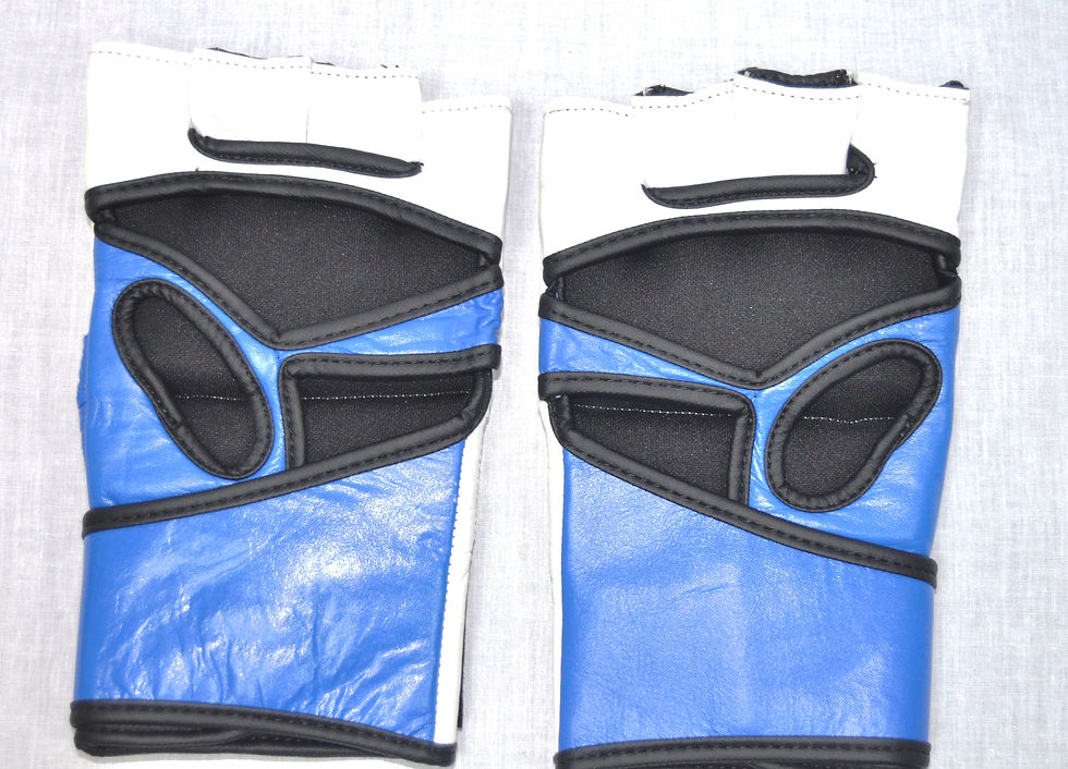 Thumbnail: FSL  2015 -Syracuse Gladius -MMA Gloves