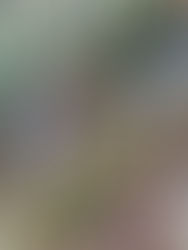 Unleashing the Power of High Carbs: The Ultimate Fuel for Ultra Running Success