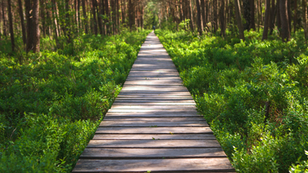 From strategic management to intentional design in tourism