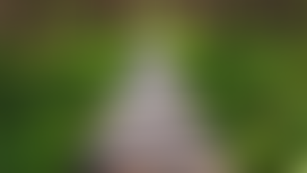 From strategic management to intentional design in tourism