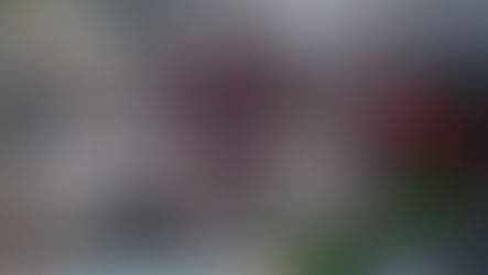 Community Collectives and Tourism