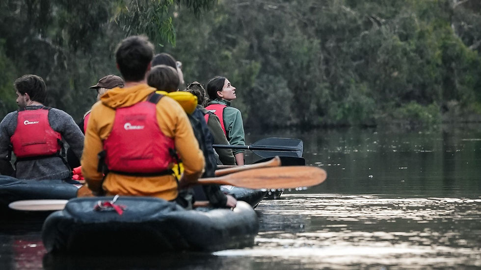 People in red life vests paddle canoes on a calm river, surrounded by lush greenery. One person looks upward, creating a serene mood.