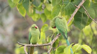 Why we need communities of practice