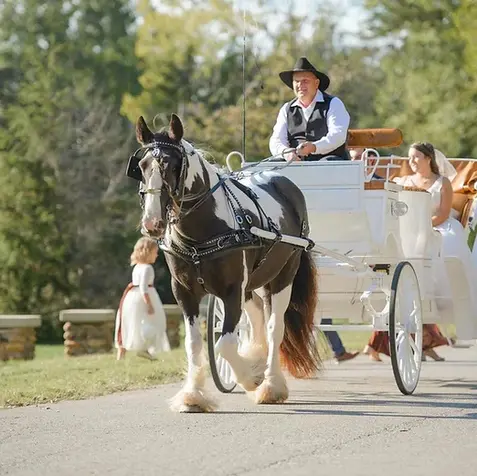 Mt_ Airy Wedding.webp