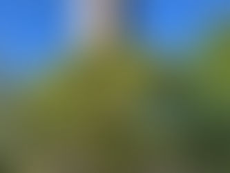 renovatie uitkijktoren begijnhof Hasselt