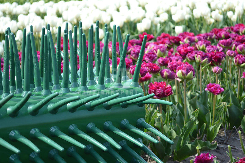 Taquets à doigts sur bande transporteuse en PVC