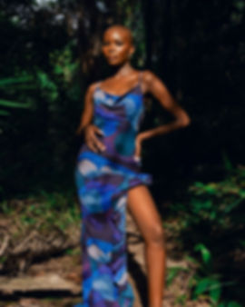 Nadine Dress