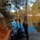Thumbnail: SWAMP WATER 